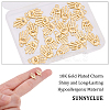SUNNYCLUE Alloy Charms FIND-SC0002-56-3