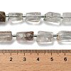 Natural Green Lodolite Quartz/Garden Quartz Beads Strands G-K245-I13-01-5