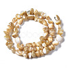 Natural Trochid Shell/Trochus Shell Beads Strands SSHEL-N034-78-B01-2