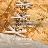 Preciosa&reg MAXIMA Crystal Round Stones X-PRC-RBSS39-10070-3