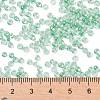 8/0 Glass Seed Beads X-SEED-A015-3mm-2218-4