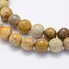 Natural Fossil Coral Beads Strands G-G697-F01-8mm-3
