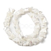 Natural Trochid Shell/Trochus Shell Beads Strands SSHEL-R145-02-4