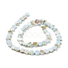 Natural Freshwater Shell Beads Strands SHEL-H002-03-5