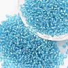 6/0 Transparent Glass Round Seed Beads X-SEED-J010-F6-23-1