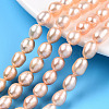 Natural Cultured Freshwater Pearl Beads Strands PEAR-N012-07L-1