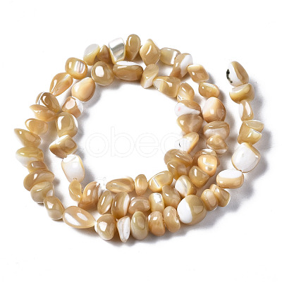 Natural Trochid Shell/Trochus Shell Beads Strands SSHEL-N034-78-B01-1