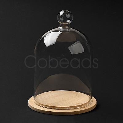 Clear Glass Dome Cover BOTT-PW0003-001C-E05-1