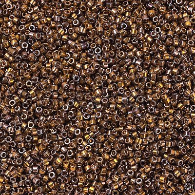 MIYUKI Delica Beads X-SEED-J020-DB0506-1