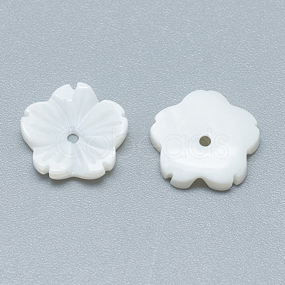 Freshwater Shell Beads SHEL-S275-002-1