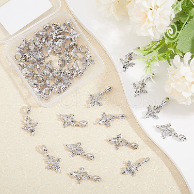 CHGCRAFT 36Pcs Alloy European Dangle Charms MPDL-CA0001-06P-1