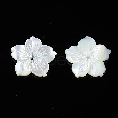 Natural White Shell Beads SSHEL-N027-131D-01-1