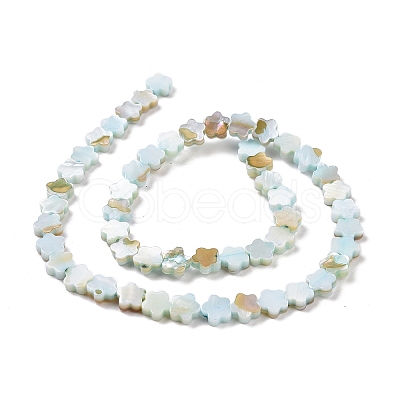 Natural Freshwater Shell Beads Strands SHEL-H002-03-1