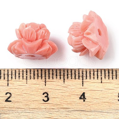 Synthetic Shell Dyed Carved Beads SHEL-H005-16-1