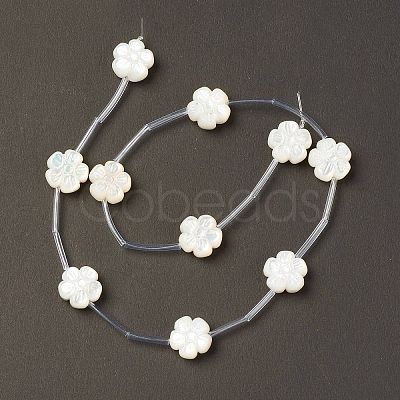 Natural White Shell Mother of Pearl Shell Beads BSHE-B005-04-1