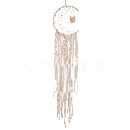 Moon and Owl Woven Net/Web with Macrame Cotton Wall Hanging Decorations PW23021573095-1