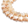 Star Natural White Shell Beads Strands BSHE-Q025-14B-3