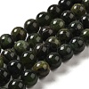 Natural Chrysoprase Beads Strands G-H298-A09-04-1