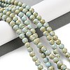 Natural Rainbow Alashan Agate Beads Strands G-NH0022-A-01-3
