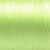 Nylon Sewing Thread NWIR-N006-01R-0.4mm-2