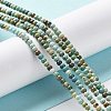 Natural HuBei Turquoise Beads Strands G-M411-A01-02-4