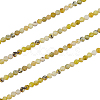  2 Strands Natural Lemon Turquoise(Jasper) Beads Strands G-NB0003-13-1