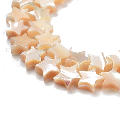 Star Natural White Shell Beads Strands BSHE-Q025-14B-1