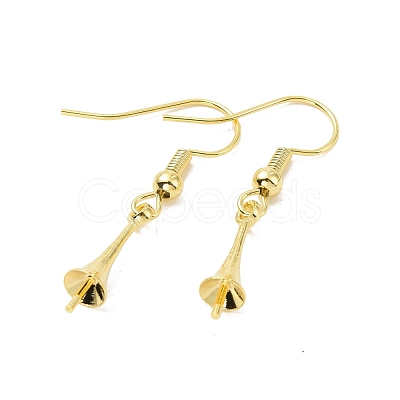 Rack Plating Brass Earring Hooks KK-F839-026G-1