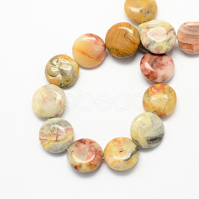 Flat Round Natural Crazy Lace Agate Beads Strands G-S110-05-1