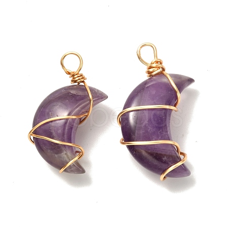 Natural Amethyst Pendants PALLOY-JF00931-01-1