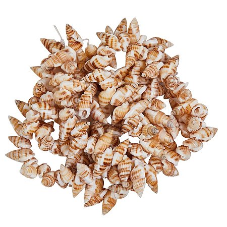 Natural Spiral Shell Beads Strands BSHE-SZ0001-03-1