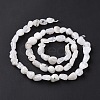 Natural Rainbow Moonstone Beads Strands G-A208-12-4