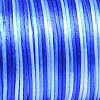 Segment Dyed Polyester Cord NWIR-N008-03-2