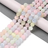 Macaron Color Natural Selenite Beads Strands G-Q162-A01-02B-02-2