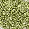 6/0 Glass Seed Beads X-SEED-A017-4mm-1112-2