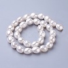 Electroplate Shell Pearl Beads Strands BSHE-O019-11B-2