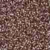 Cylinder Seed Beads X-SEED-H001-G19-4