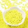 Baking Paint Glass Seed Beads SEED-H002-I-B501-2