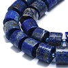 Natural Lapis Lazuli Beads Strands G-K245-C06-04-3