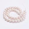 Wrinkle Textured Shell Pearl Beads Strands BSHE-E016-10mm-07-2