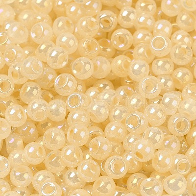 Glass Seed Beads SEED-H002-H-1308-1