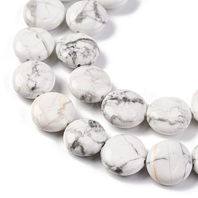 Natural Howlite Beads Strands G-C159-A01-01-1