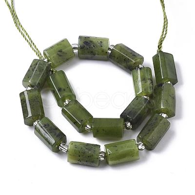 Natural Canadian Jade Beads Strands G-S345-8x11-006-1