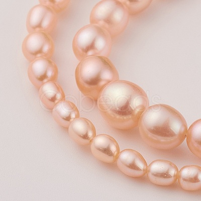 Natural Cultured Freshwater Pearl Graduated Beads Strands PEAR-G007-05B-1