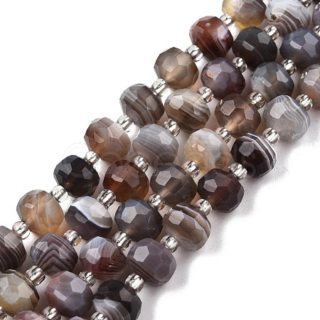 Natural Botswana Agate Beads Strands G-N327-08N-1