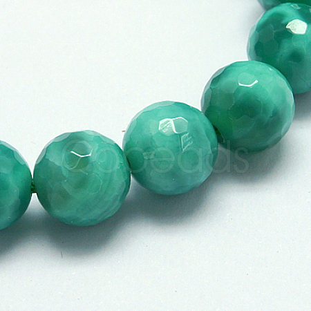 Natural Peacock Agate Beads Strands G-G213-8mm-04-1