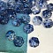 Handmade Lampwork Beads, Cat Claw, Prussian Blue, 15x13.5x9mm