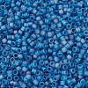 MIYUKI Delica Beads Small SEED-X0054-DBS0862-3