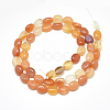 Natural Carnelian Beads Strands X-G-S357-B09-2