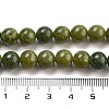 Natural Canada Jade Beads Strands G-NH0029-02A-5